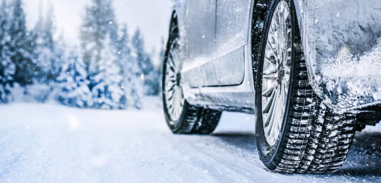 Winterbanden verplicht in Frankrijk|Forrez|Uw specialist in banden en velgen