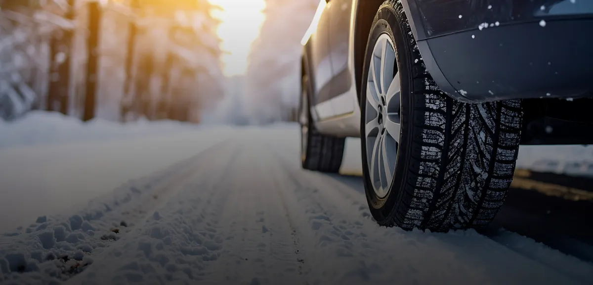 banner blog winterbanden in europa|Forrez