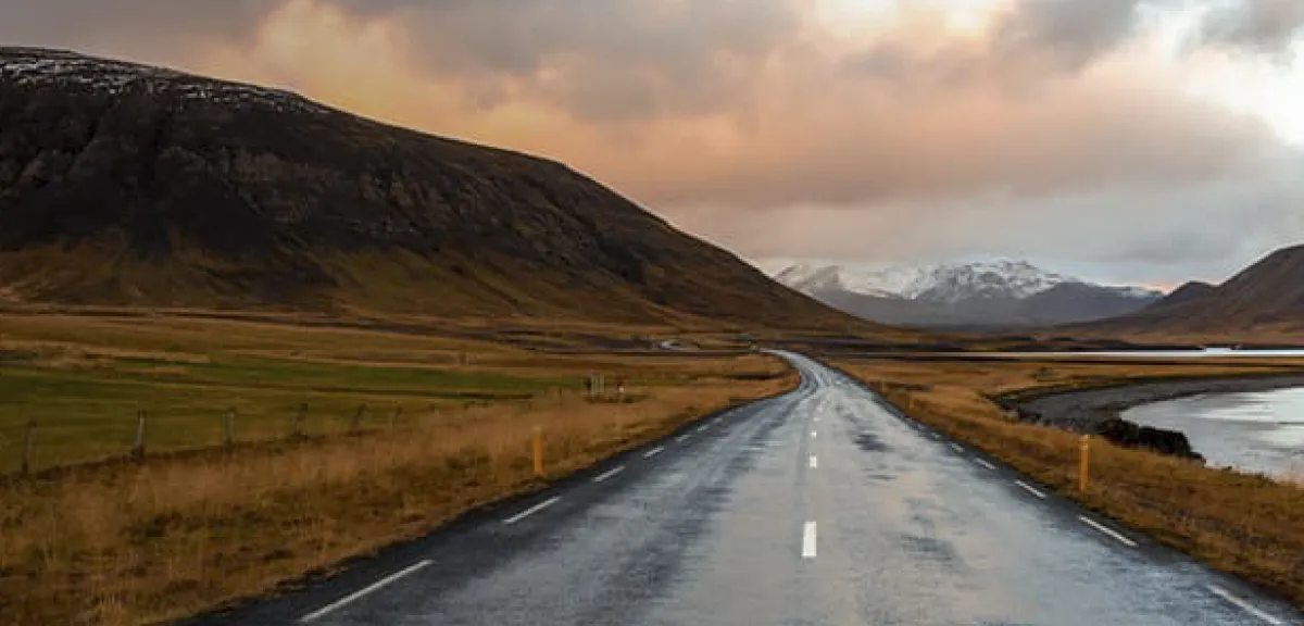 pirelli beeld|Forrez