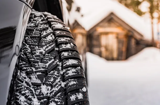 winterbandcloseup|Forrez