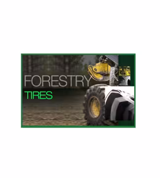 Galaxy Forestry