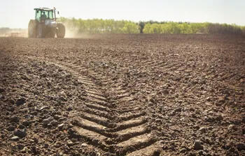 Ceat verdichting|Forrez|Uw specialist in landbouwbanden Ceat verdichting|Forrez|Uw specialist in landbouwbanden