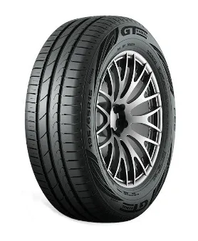 GT RADIAL 205/55R16 FE2 91 V TL